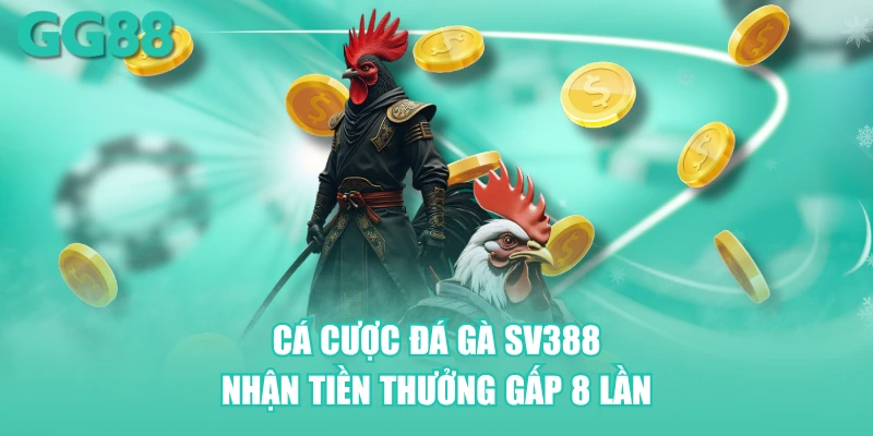 Cá cược đá gà SV388 nhận tiền thưởng gấp 8 lần tại GG88